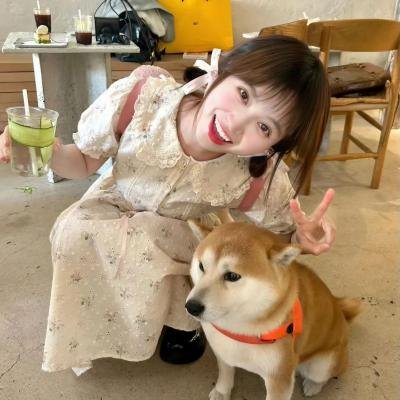 冰人来了
